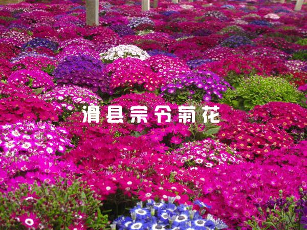 種植基地